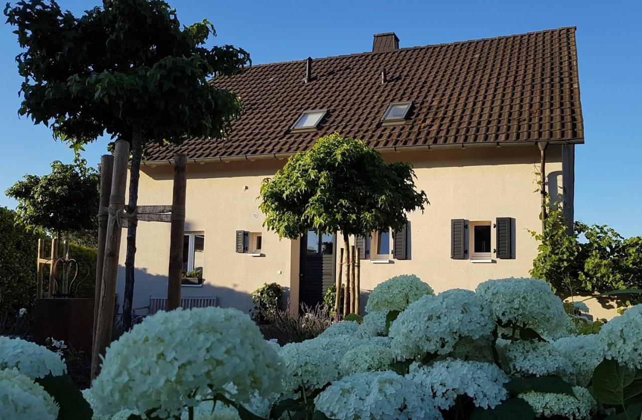 Апартаменты Gleisberg3 - Suedliche Weinstrasse Billigheim-Ingenheim Экстерьер фото